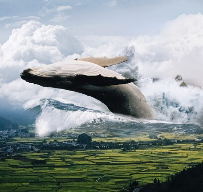 surrealcompositing_whale